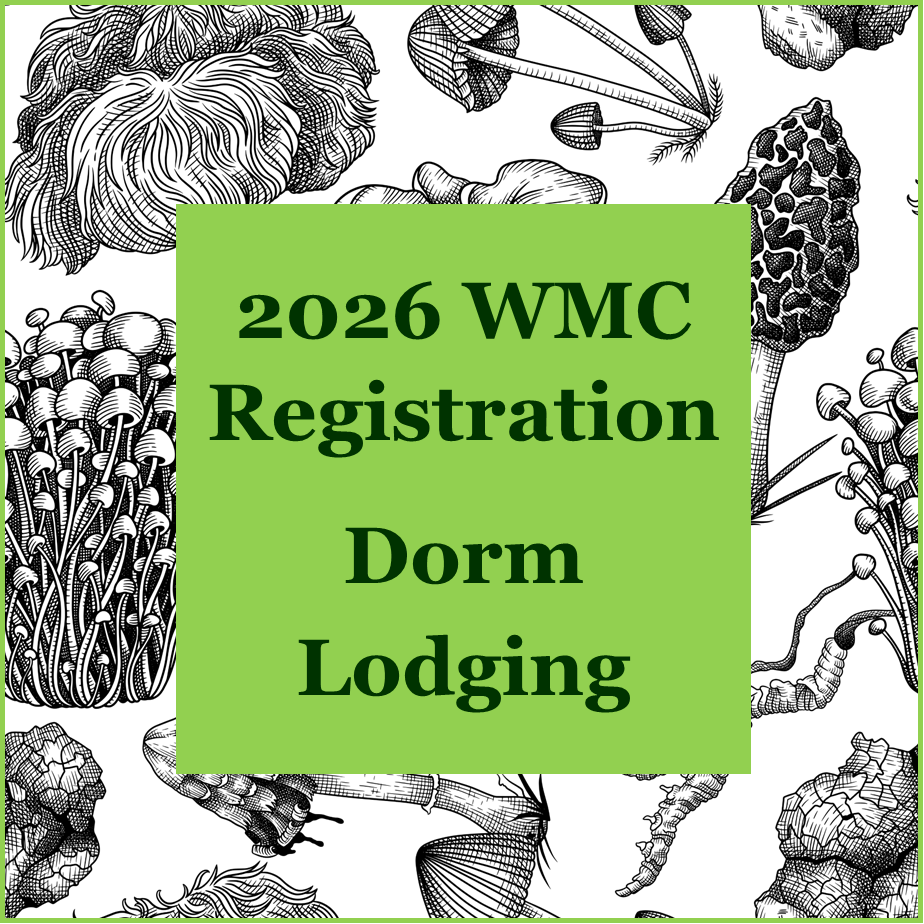 2026 WMC: Dorm Lodging