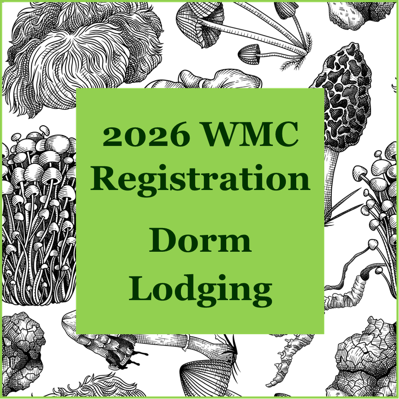 2026 WMC: Dorm Lodging