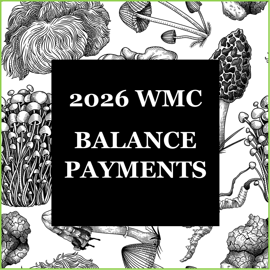 2026 Balance Payments (A-G)