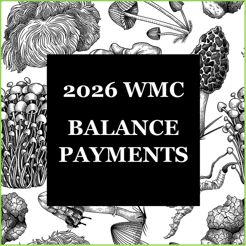 2026 Balance Payments (A-G)
