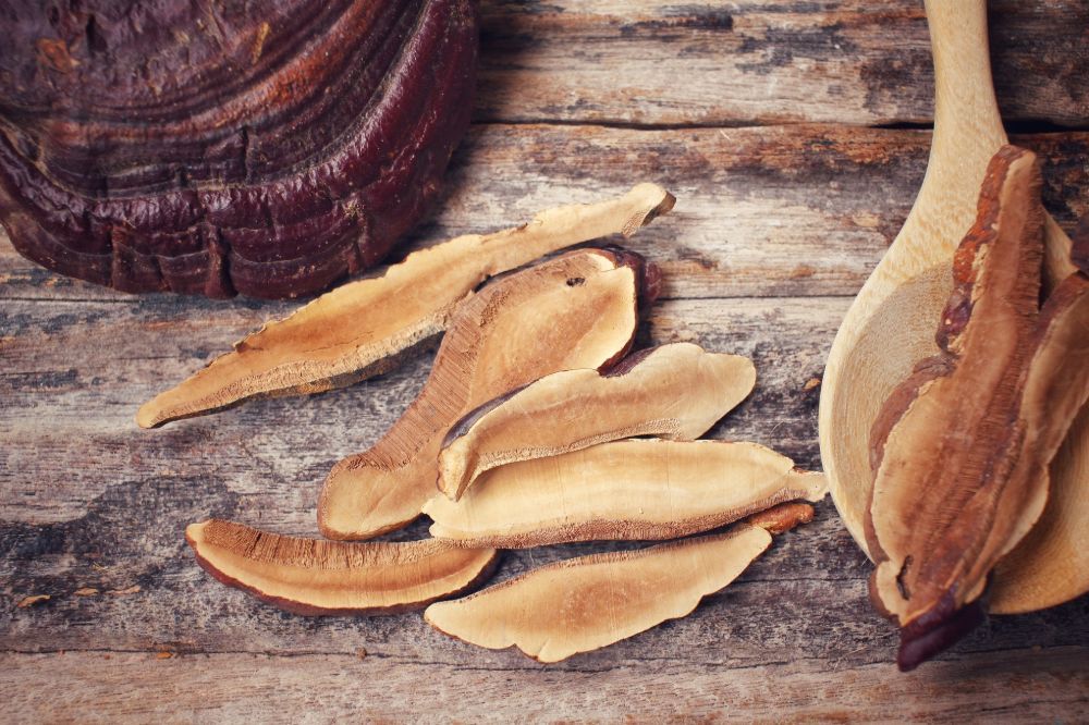 2026 Intensive: Reishi Extraction