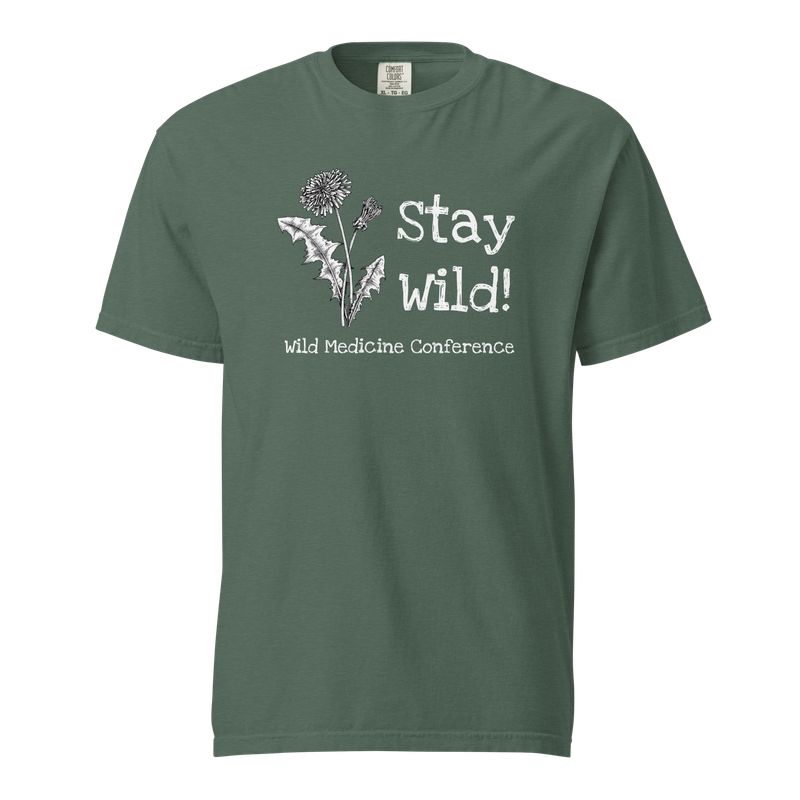 2026 T-shirt (w/shipping)