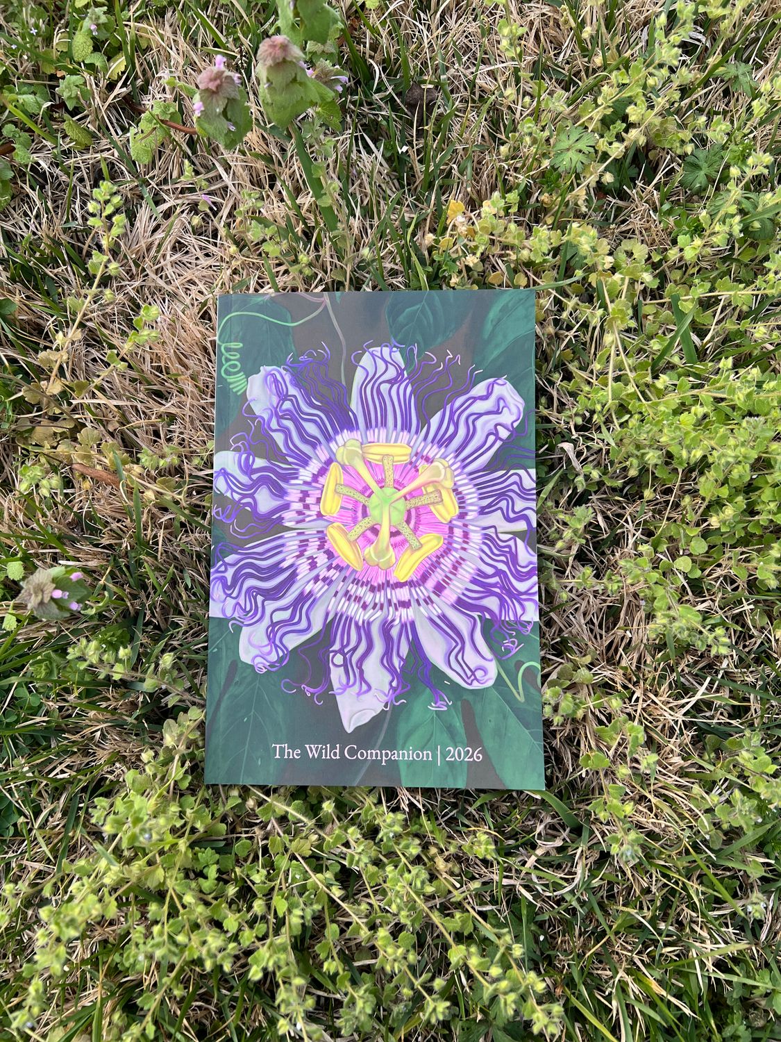 The Wild Companion (+ Shipping)