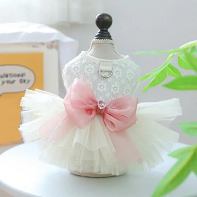 FANCY LACE DRESS/HARNESS