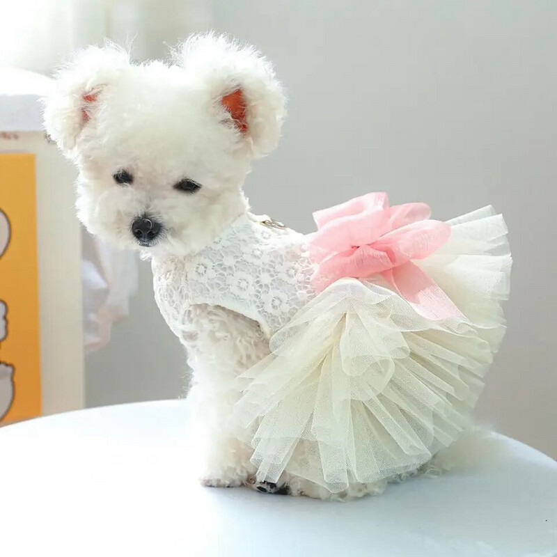 FANCY LACE DRESS/HARNESS