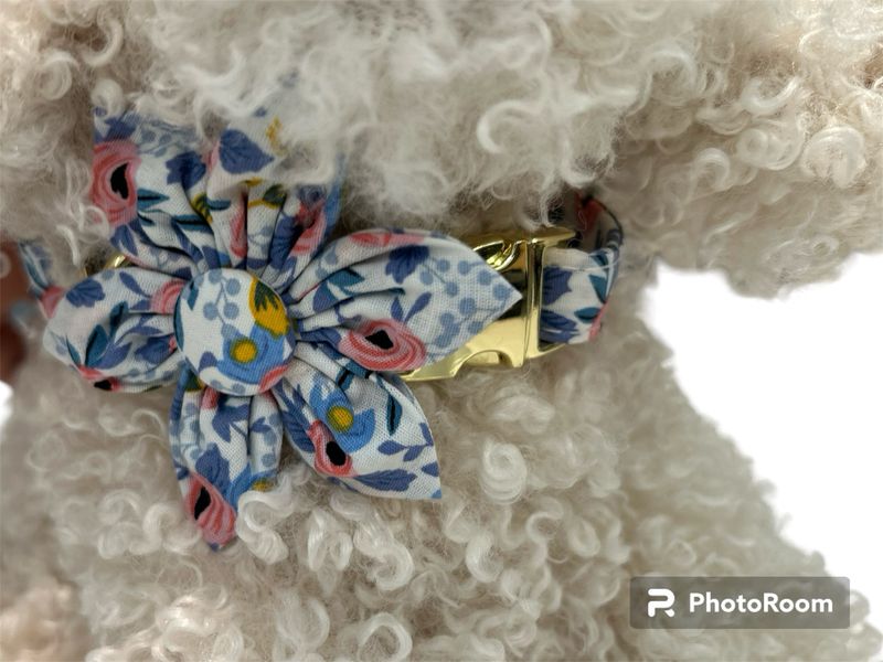 BLUE FLORAL COLLAR