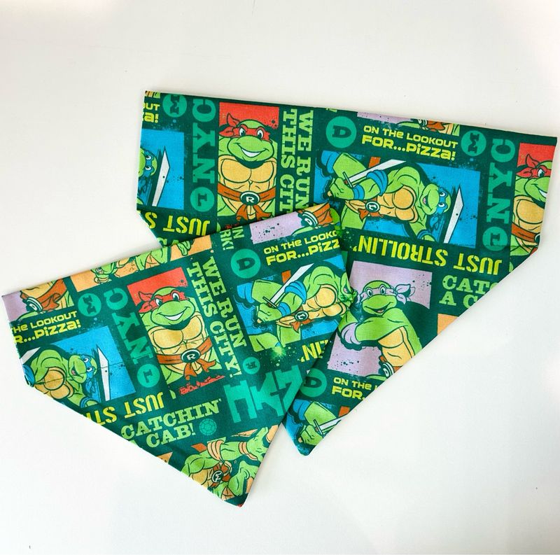 TEENAGE MUTANT NINJA TURTLE BANDANA