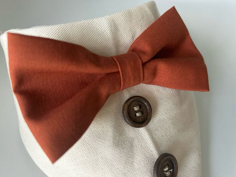 FALL BOW TIE BANDANA