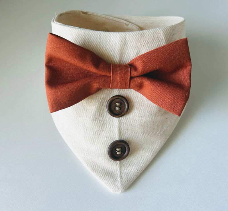 FALL BOW TIE BANDANA