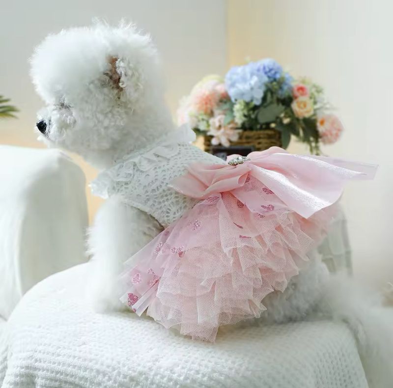 SWEET HEART FANCY LACE DRESS