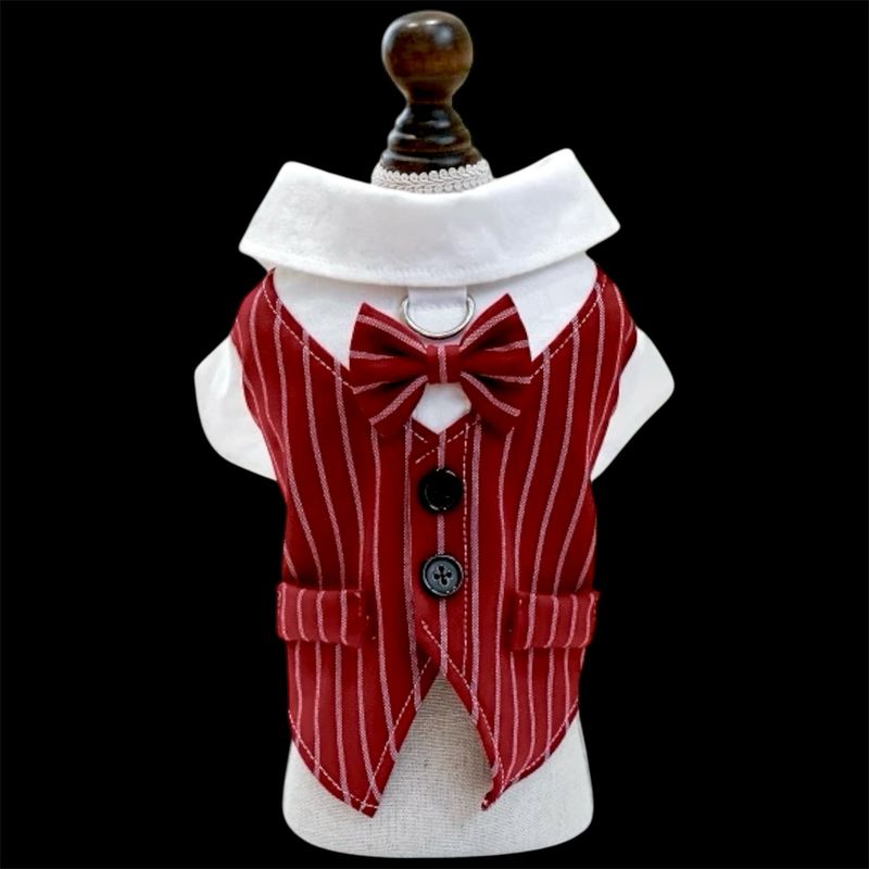 ROYAL BURGUNDY VEST