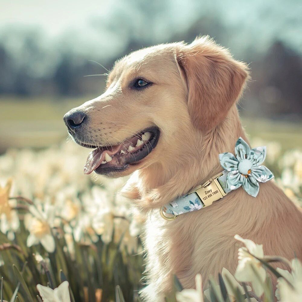 GREEN FLORAL COLLAR
