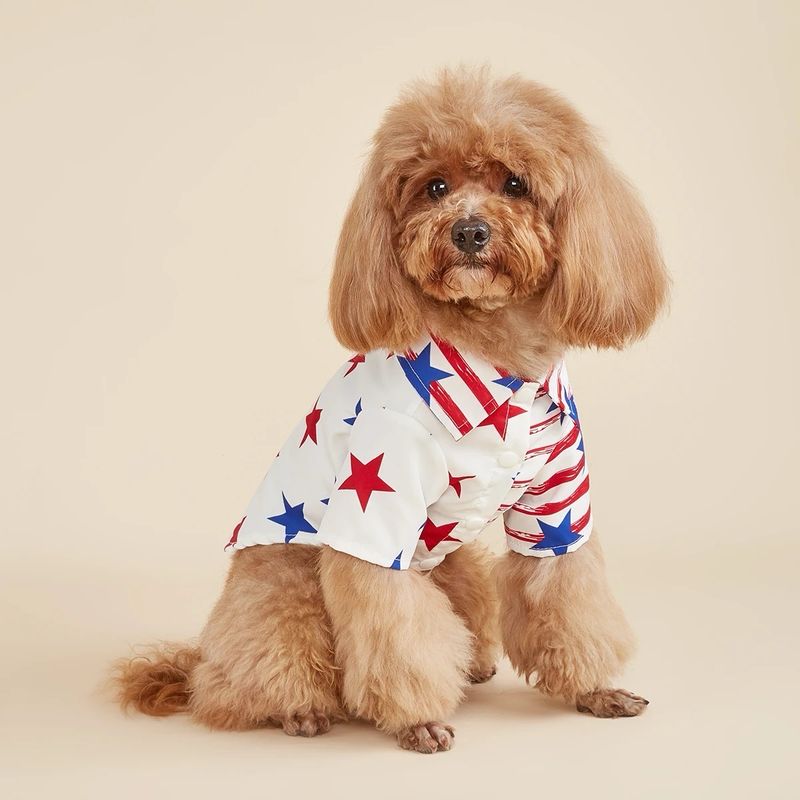 JULY 4TH SHIRT