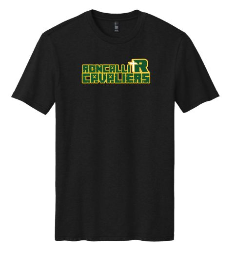 Roncalli Cavaliers Minecraft