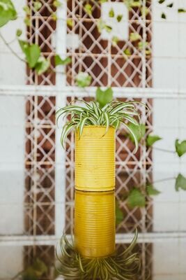 Home &amp; Garden
