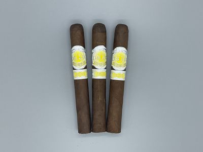 Southern Draw Cigars Evening Primrose