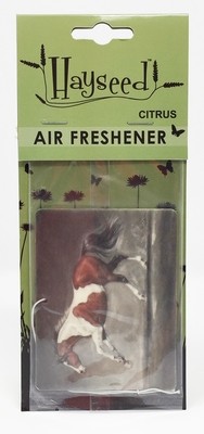 Air Freshener - Pinto/Citrus