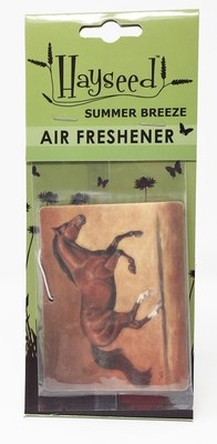 Air Freshener - Running Bay/Summer Breeze