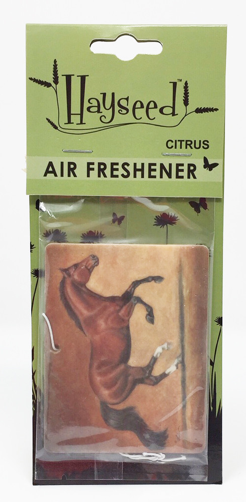 Air Freshener - Running Bay/Citrus