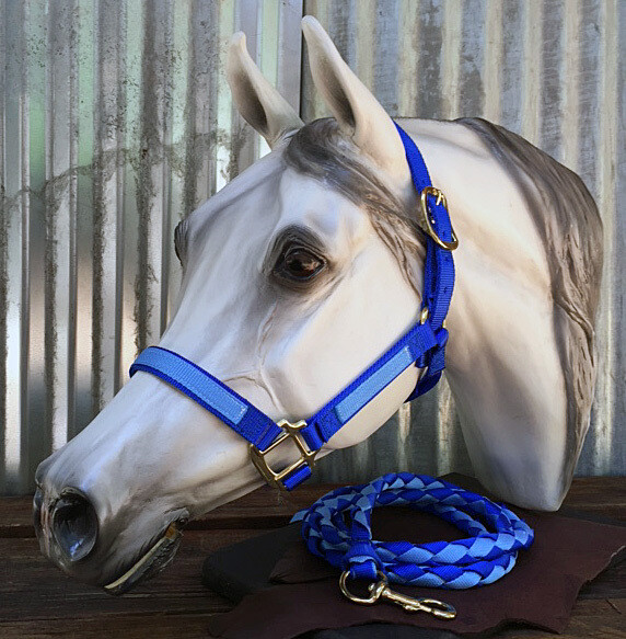 Halter with Overlay-BLU/SKYBL-SM Halter with Overlay-BLU/SKYBL-SM