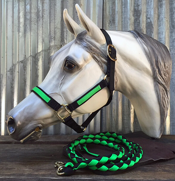 Halter with Overlay-BLK/LIME-SM Halter with Overlay-BLK/LIME-SM