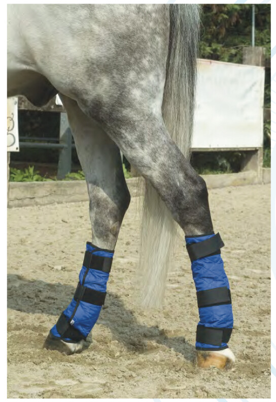 Evaporative Cooling Horse Leg Wraps-Blue