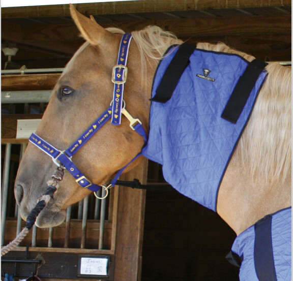 Evaporative Cooling Horse Neck Wrap-Blue/MED