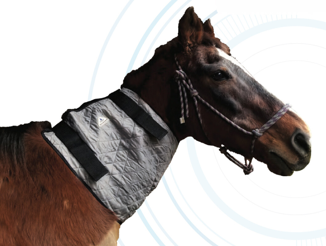 Evaporative Cooling Horse Neck Wrap-Silver/LG
