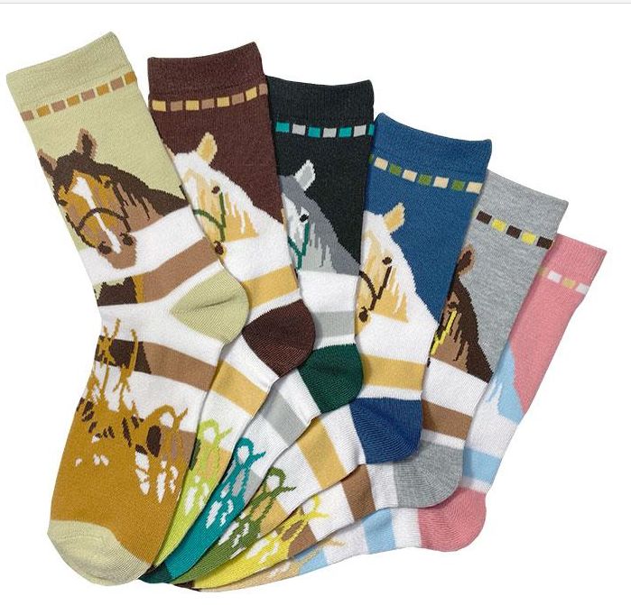 Socks - Horses at the Fence - 6 PK