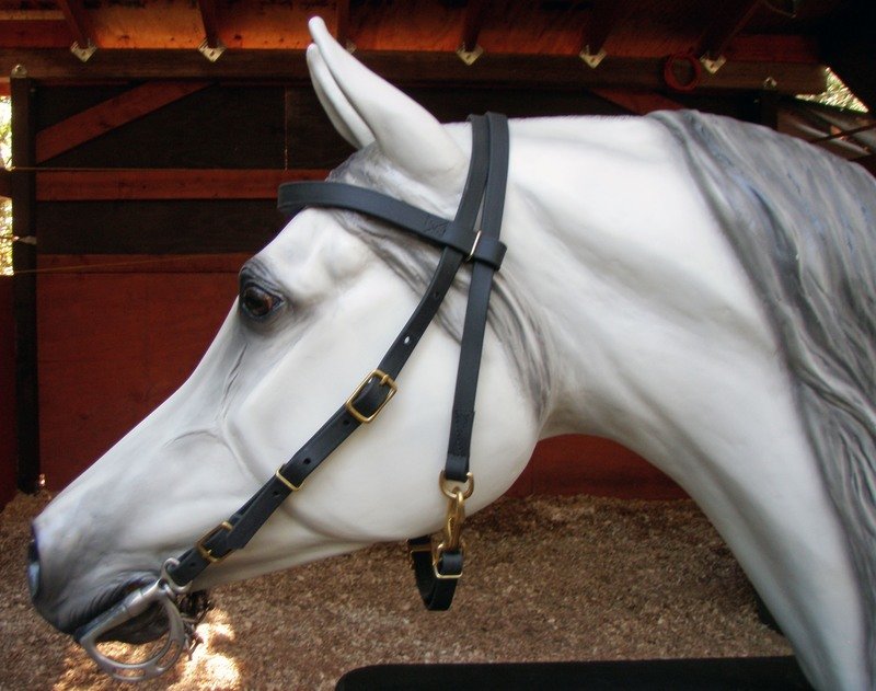 Beta Standard Bridle-BRN/AV/SS Beta Standard Bridle-BRN/AV/SS