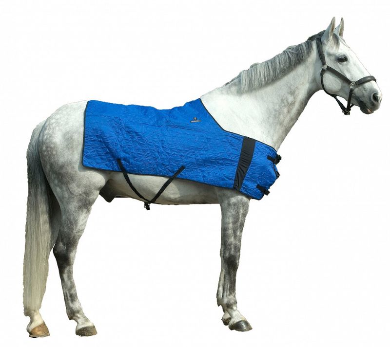 Evaporative Cooling Horse Blanket Blue-LG/XLG