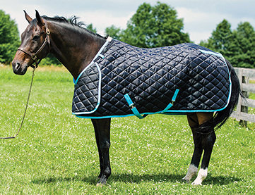 HUG Horse Blanket - Prize Stable Blanket-72