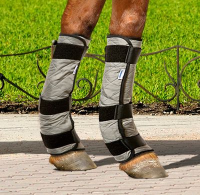 Evaporative Cooling Horses