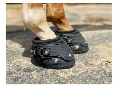 Horse Boots