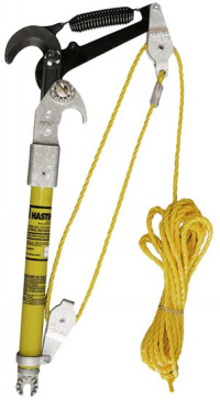 Universal Tree Pruner