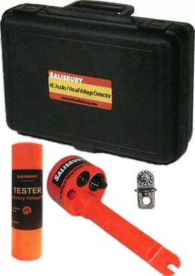 Audio/Visual Voltage Detector