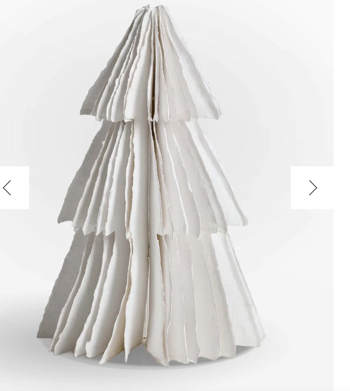 Cotton Paper Tree; Large Cotton Paper Tree; Large