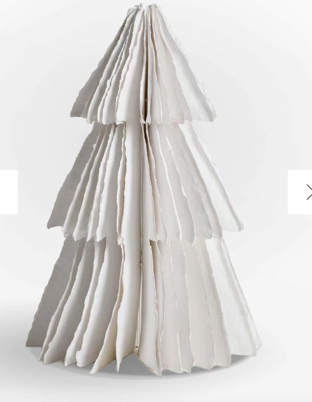 Cotton Paper Tree; Birnam, Small