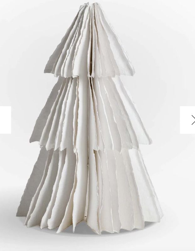 Cotton Paper Tree; Birnam, Small