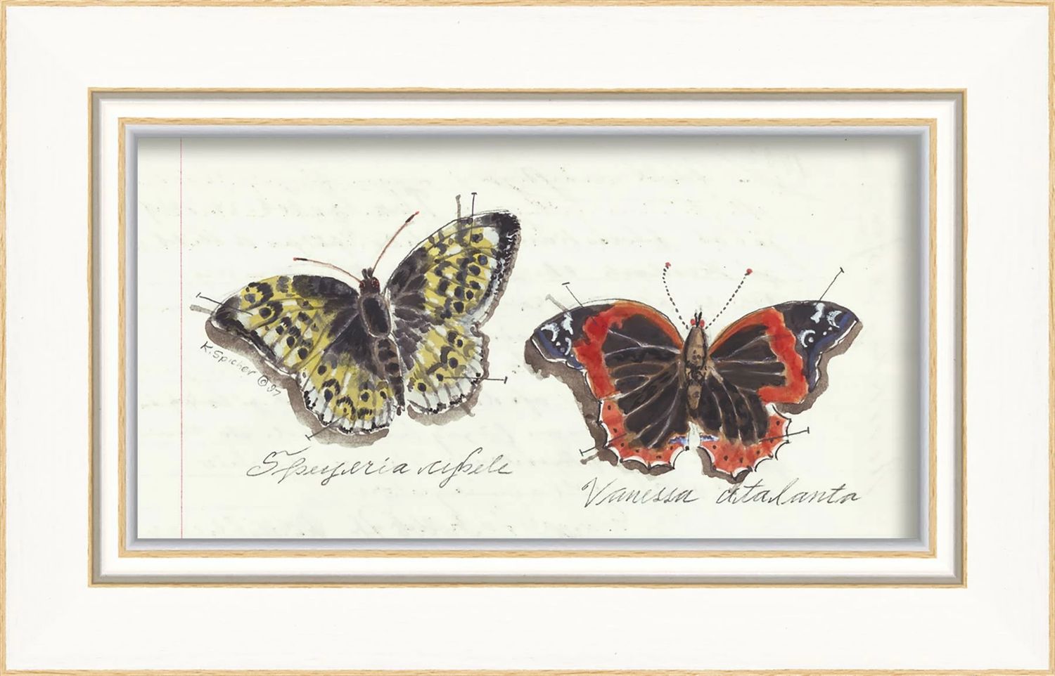 Red and Yellow Butterflies; Print; 6.25" x 9.75"