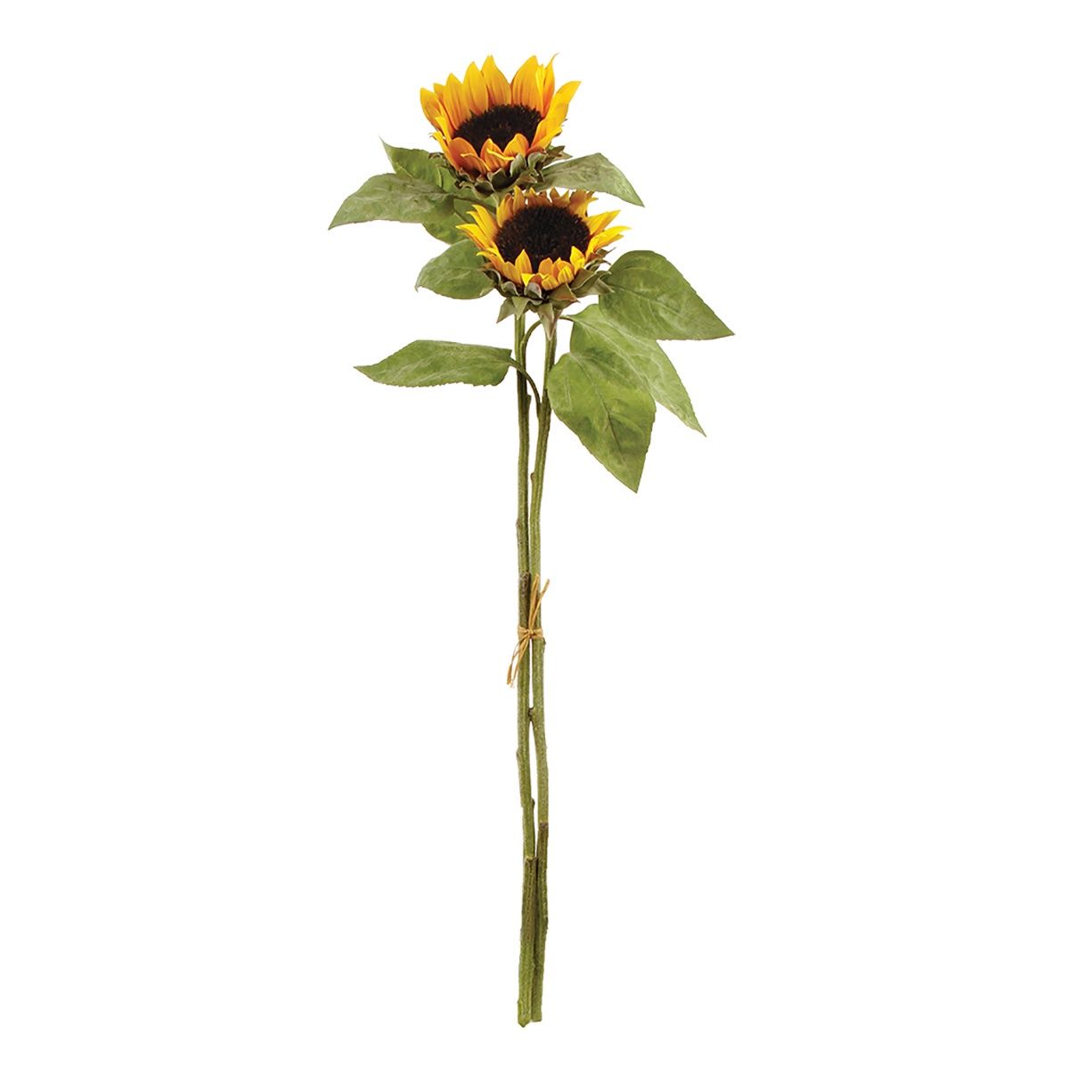 SUNFLOWER STEMS 35", BUNDLE OF 2