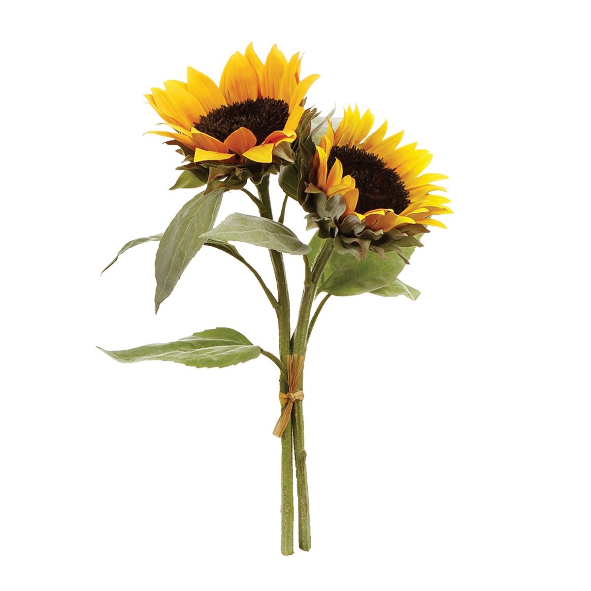 SUNFLOWER CUTTINGS 16", BUNDLE OF 2