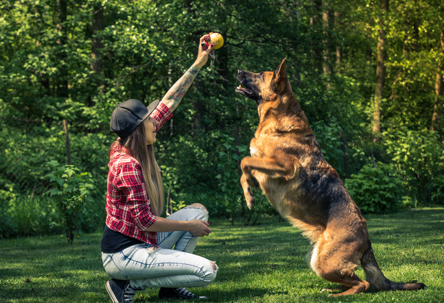 Private Obedience Dog Training Services