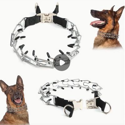 Metal Prong Collar