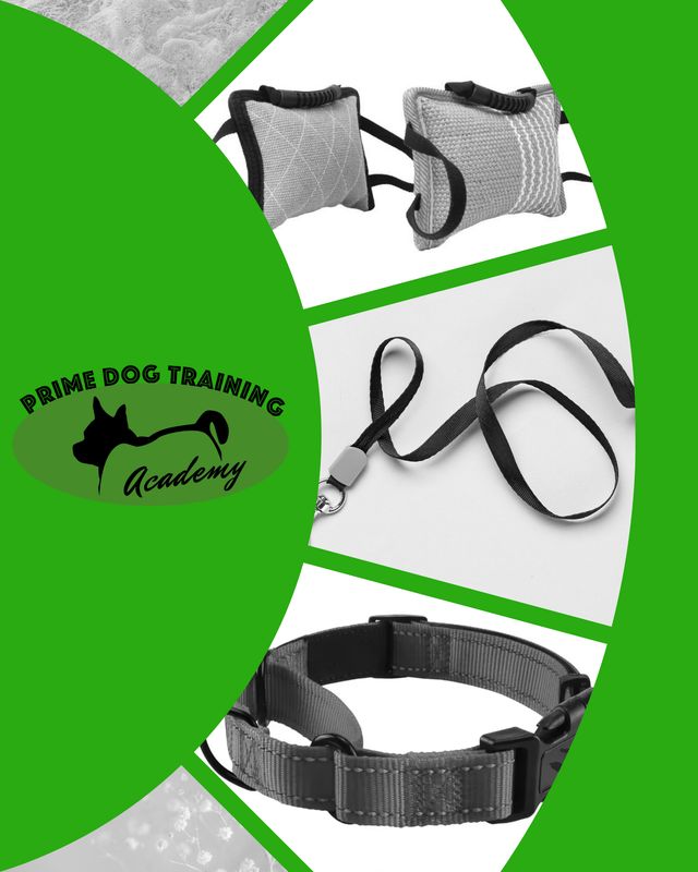 Premium Dog Training Products