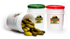 Processed Dills - 5 Gallon Pail