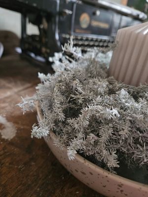 Storefactory Lidatorp inkl.Deko