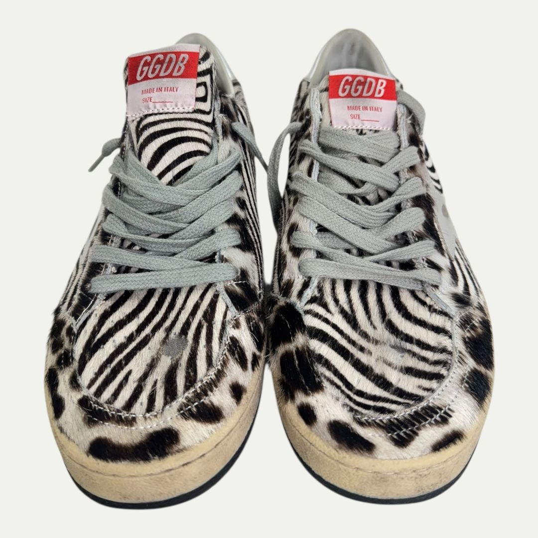Golden Goose Ball Star Zebra Sz 41(8m/9.5w)