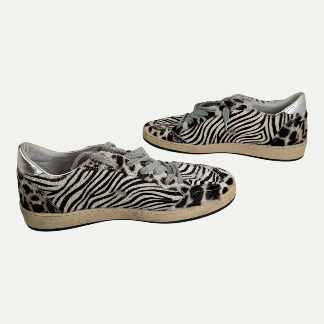 Golden Goose Ball Star Zebra Sz 41(8m/9.5w)