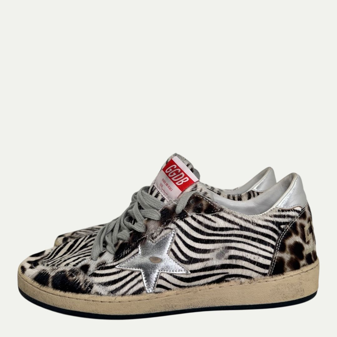 Golden Goose Ball Star Zebra Sz 41(8m/9.5w)